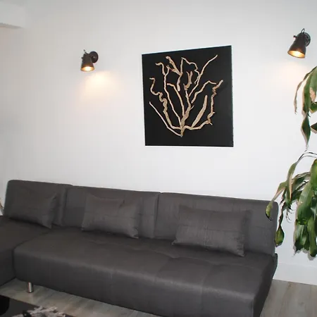 Superbe Dans Maison Entre Biarritz Et Hossegor Boucau